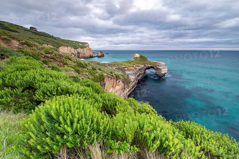 Rocky cliffs at Tunnel Beach