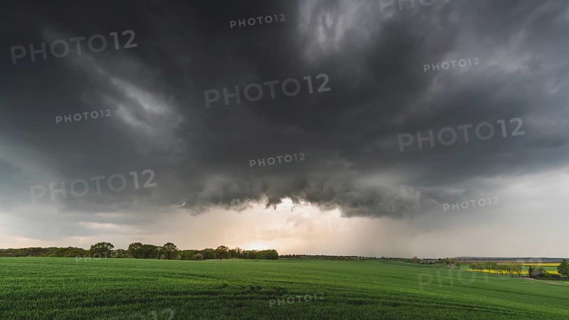 Thunderstorm cell