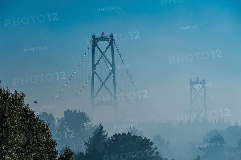 Lions Gate Bridge in the Fog