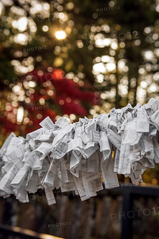 Omikuji