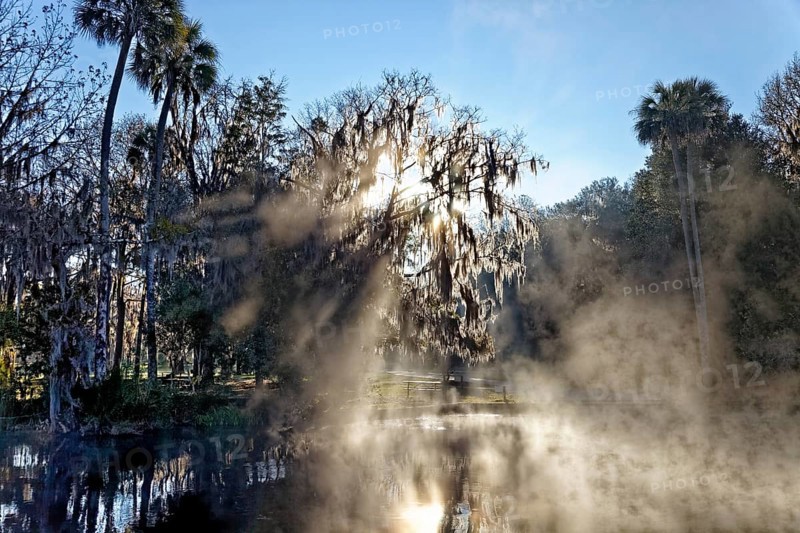 River landscape