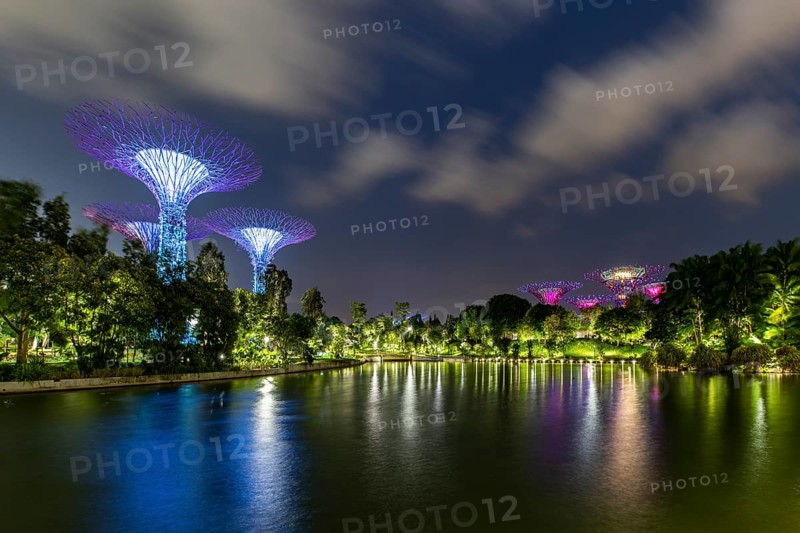 Supertrees at dusk