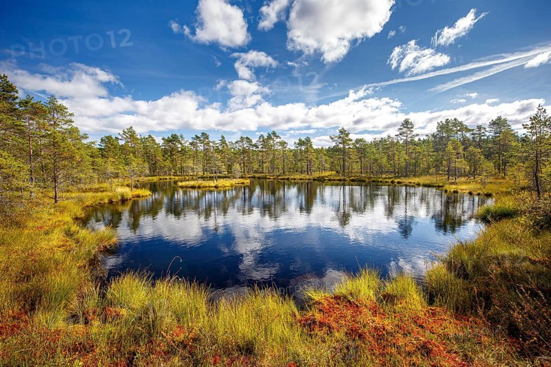 Moor landscape with lake and cloudy sky