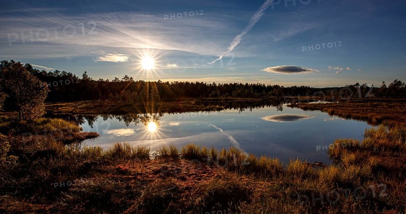 Moor landscape with lake in backlight
