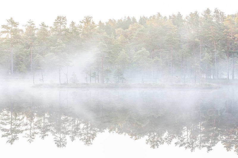Moor landscape with lake in morning mist