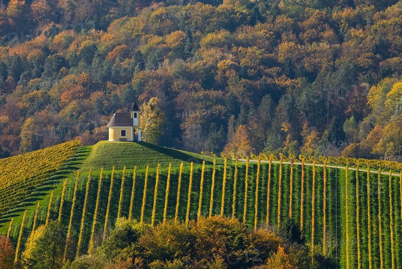 Chapel with vineyard in autumn on the South Styrian Wine Route
