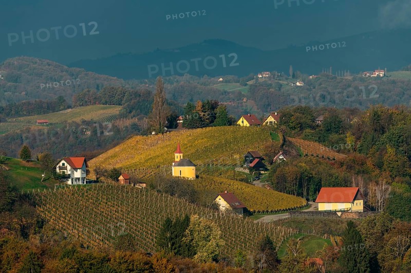 Chapel with vineyard in autumn