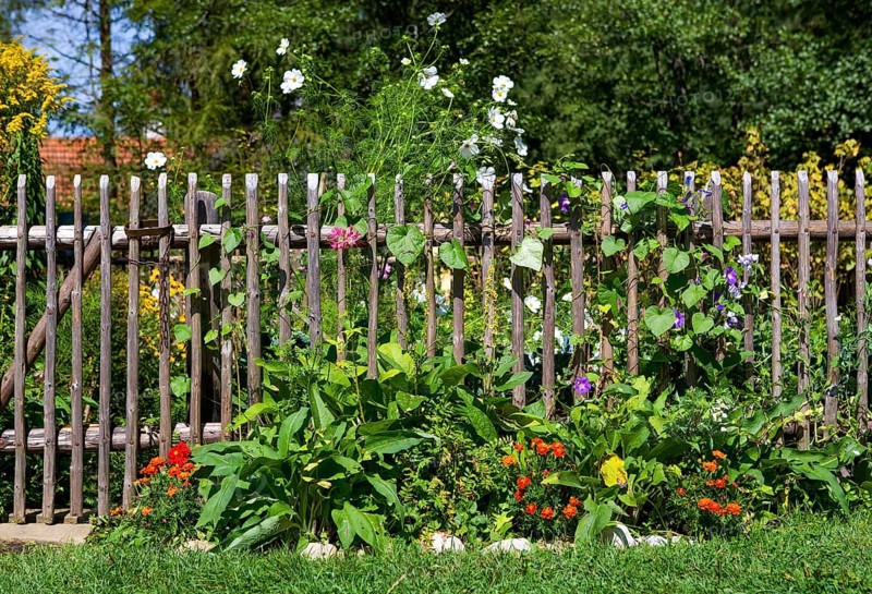 Farmer's garden