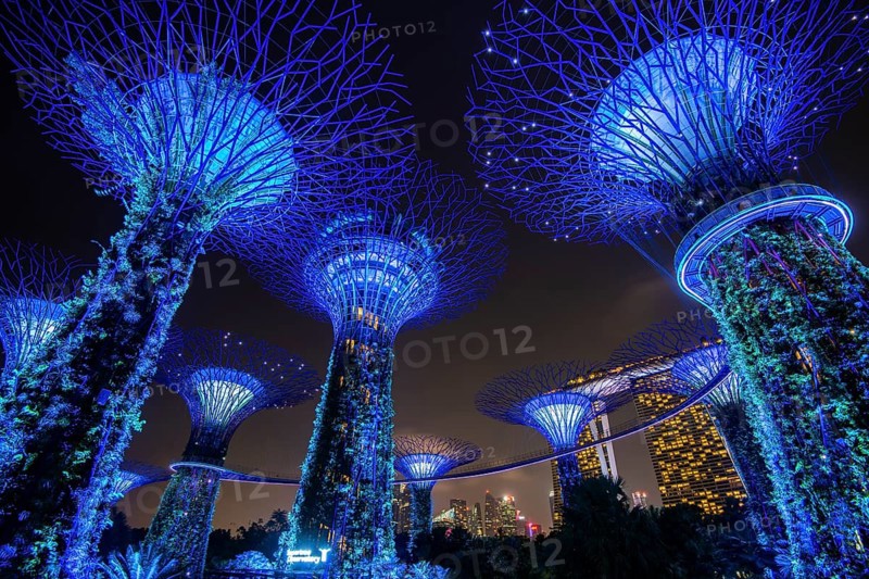 Supertrees at night