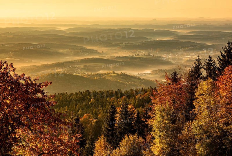Forest in autumn with morning mist in the valley
