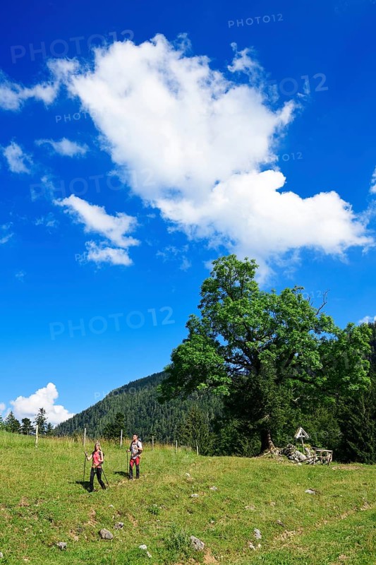 Hikers at the Chiemhauser Alm
