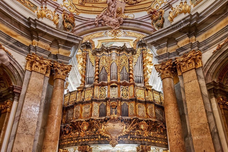 Organ