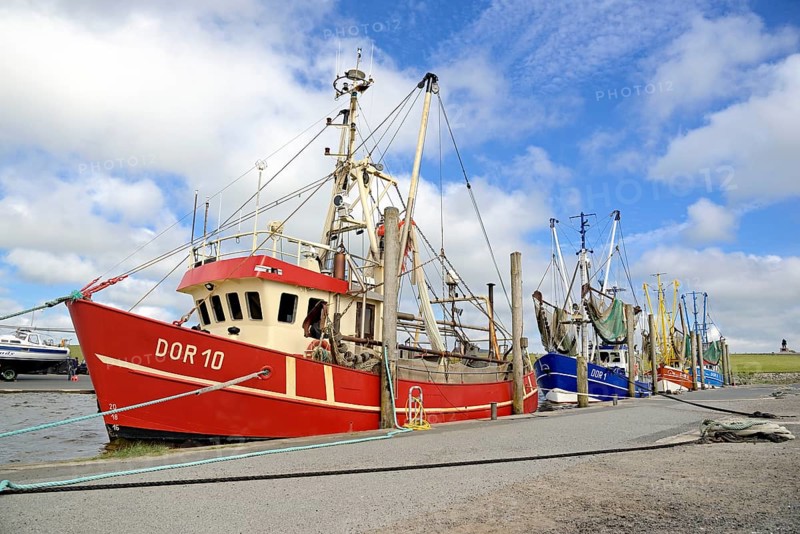 Fishing cutter in the seal harbour Dorum-Neufeld