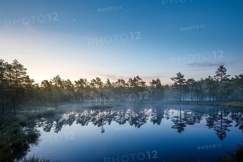 Moor landscape with lake at daybreak