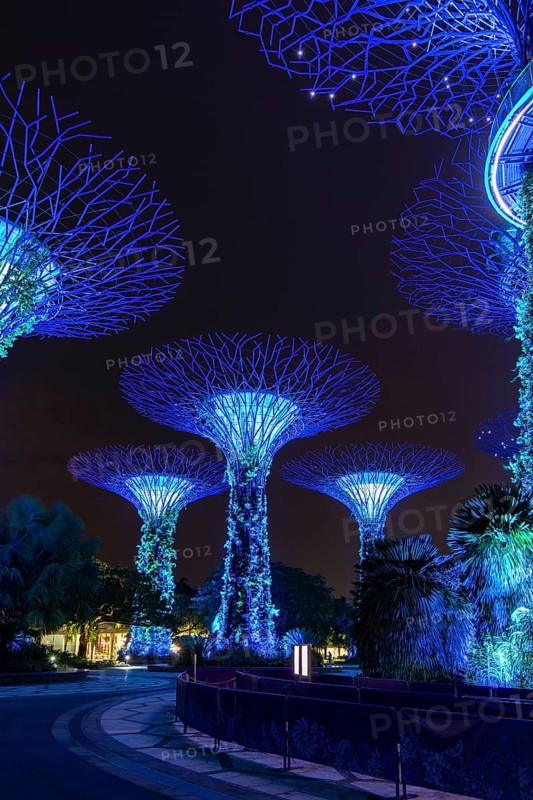 Supertrees at night