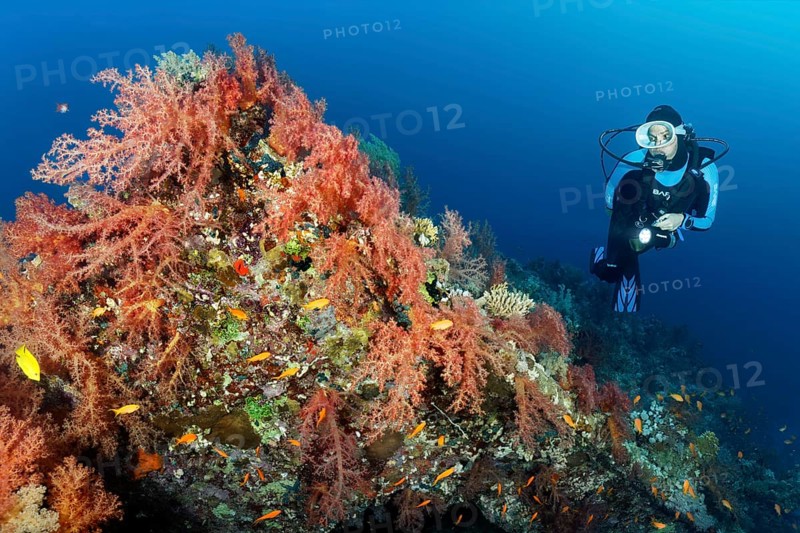 Diver at the wreck of the Dunraven