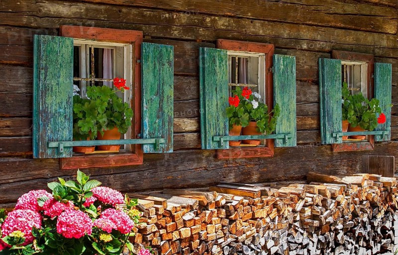 Old farmhouse with flower windows with geraniums