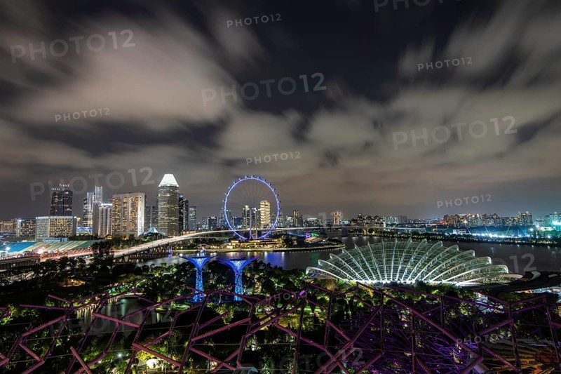 Skyline and Singapore Flyer at night