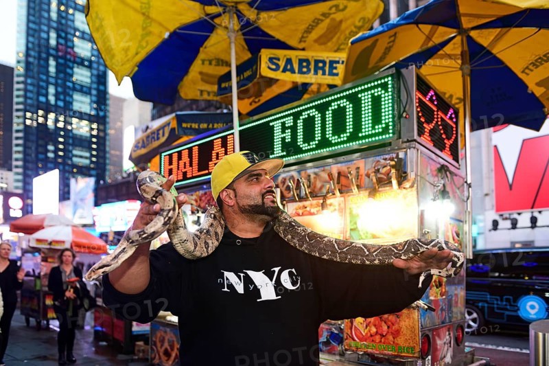 New Yorker gets photographed with Python