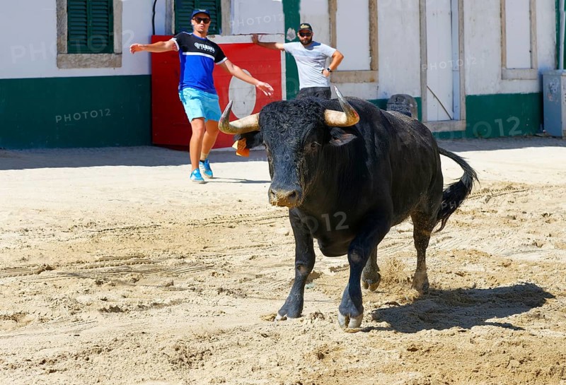 Street corrida during the Festas do Barrete Verde e das Salinas