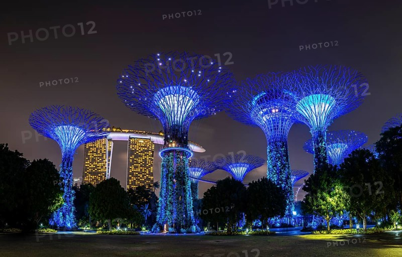 Supertrees at night