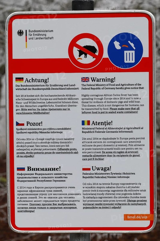 Sign with information on African swine fever