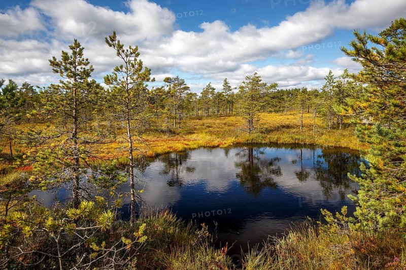 Moor landscape with lake and cloudy sky
