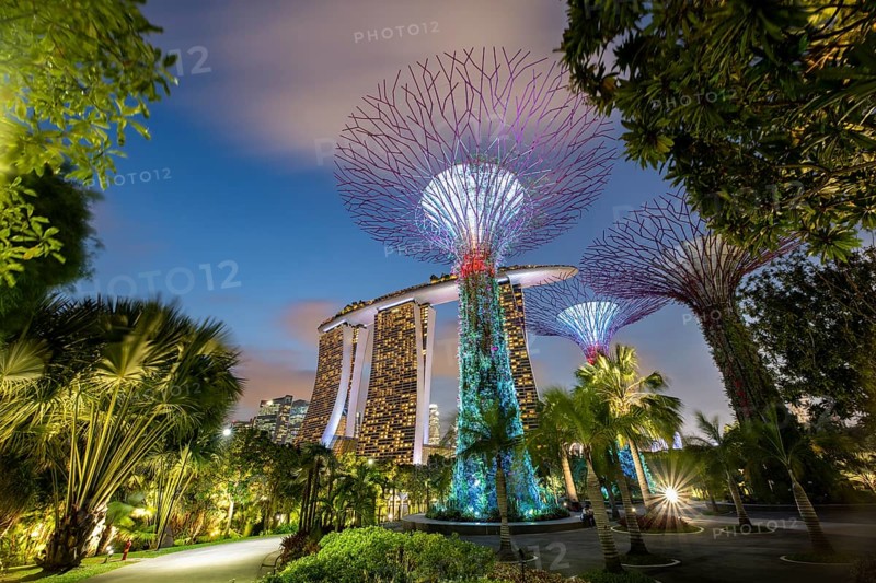 Supertrees at dusk