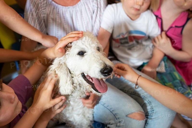 Children stroking dog