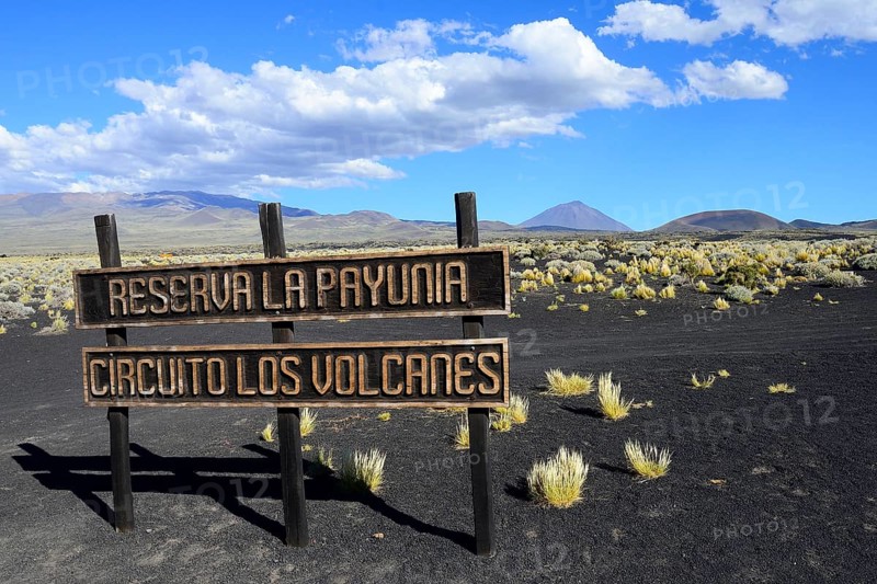 Shield Cirquito los Vulcanes