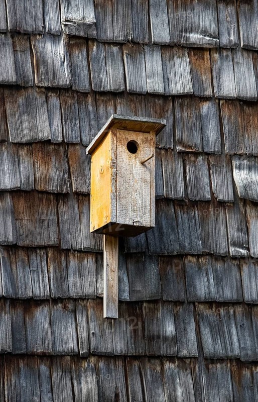 Nesting box on a wall with wooden shingles