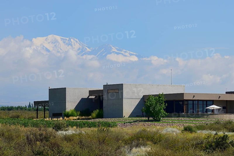Modern winery