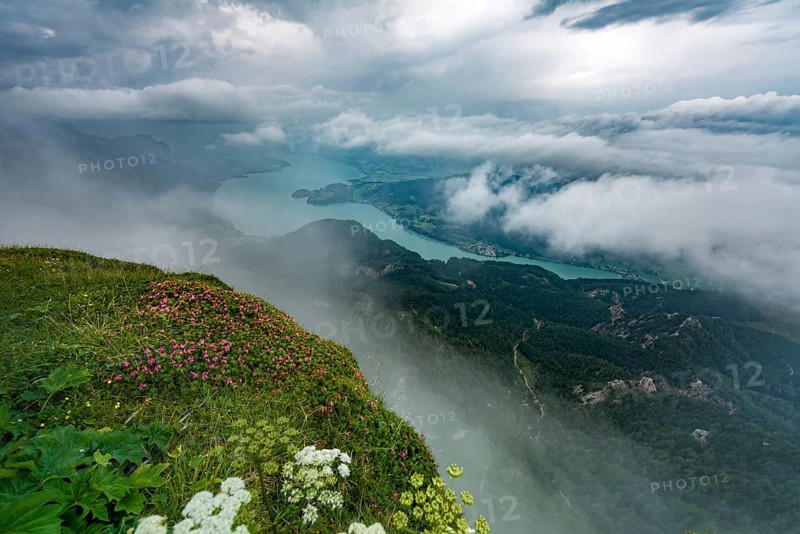 Cloud-covered lake