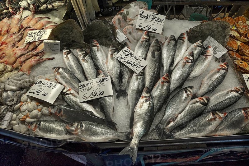 Fresh sea bass (Atractoscion nobilis) on ice