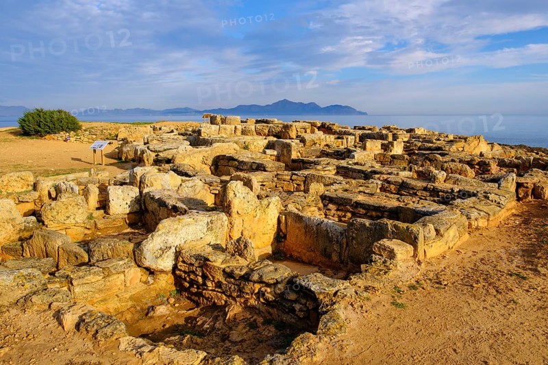 Necropolis of Son Real