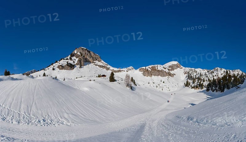 Gschoellkopf