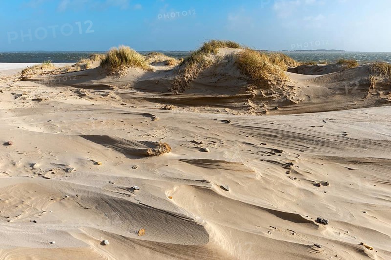 NSG Amrum-Odde