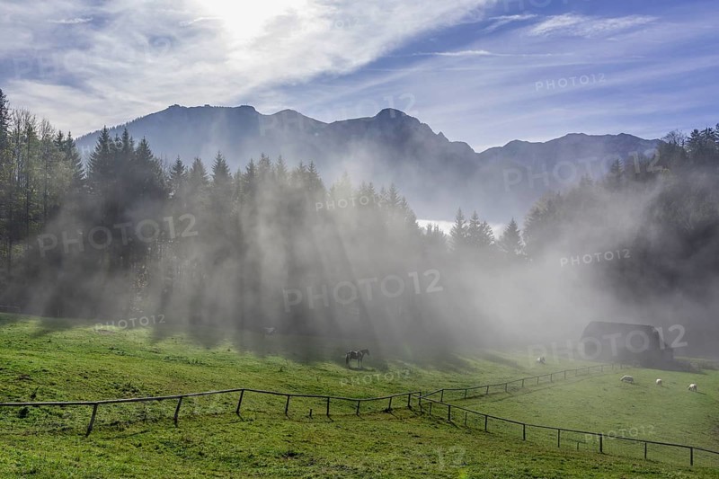 Fog at the Hochsteinalm