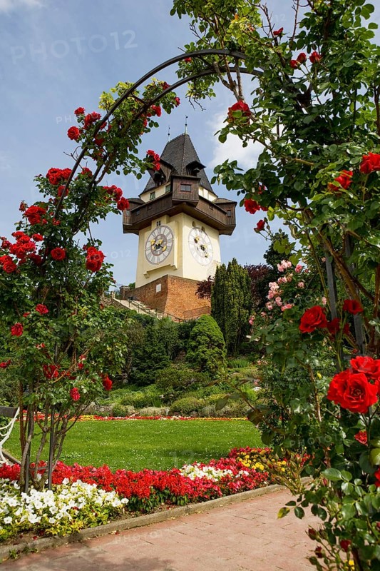 Rose garden on the Schlossberg with clock tower