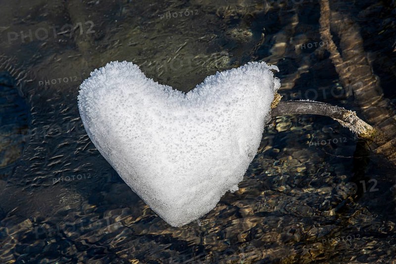 Heart-shaped ice over water