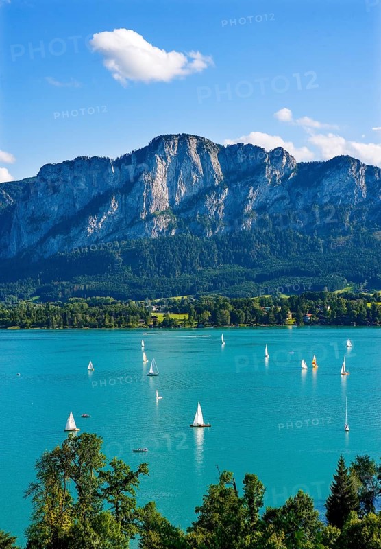 Sailboats with dragon wall