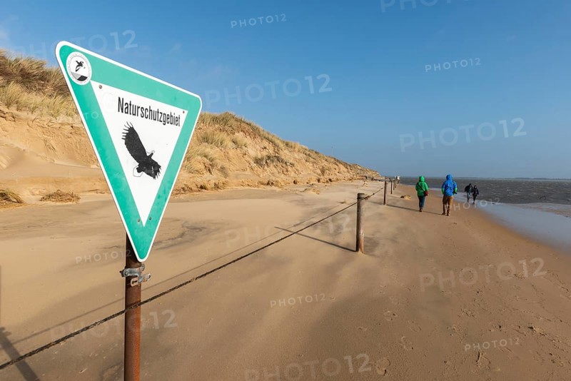 NSG Amrum-Odde