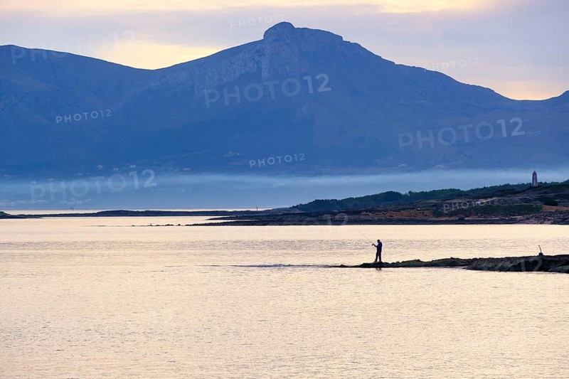 Coast with eagle in the morning light