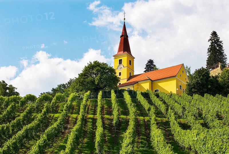 Kapfenstein