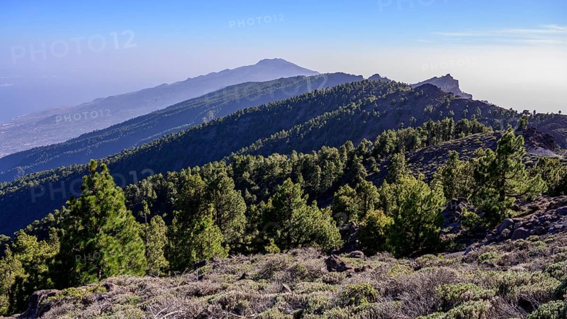 View from Pico de la Nieve to the south