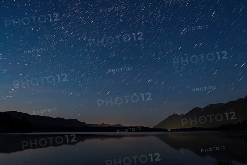 European Starling trails at the Barmasee