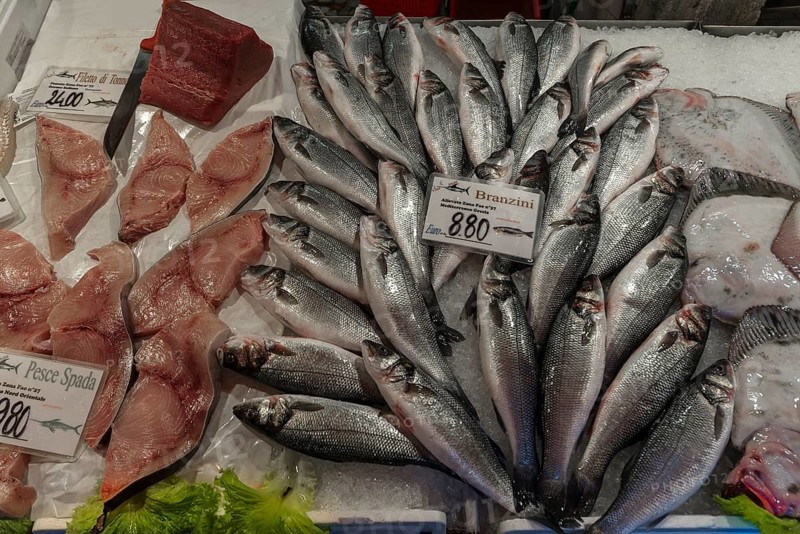 Fresh Temperate basses (Moronidae) and Swordfish (Xiphias gladius) on ice