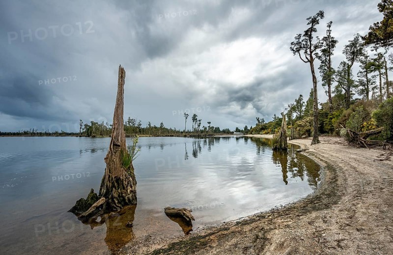 Iveagh Bay on Lake Brunner