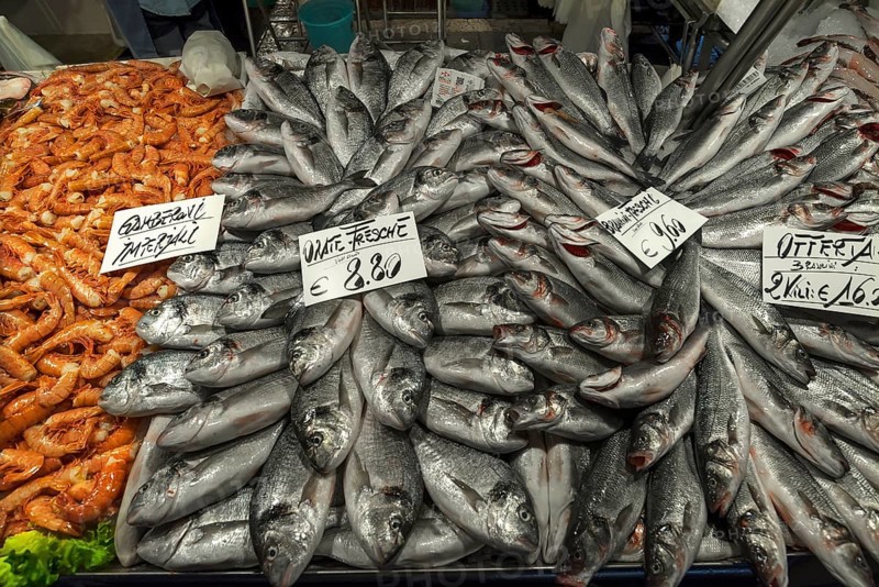 Fresh Common bream (Abramis brama)