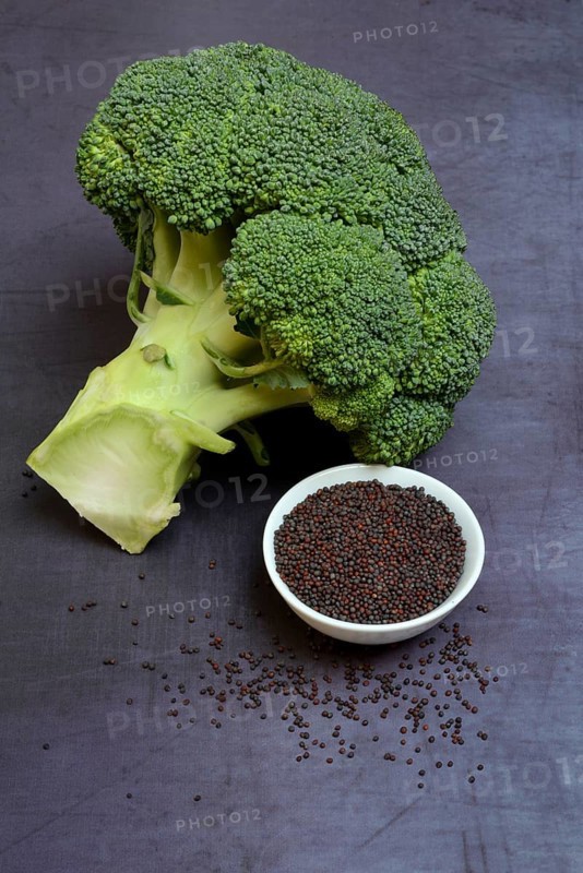 Broccoli seeds in shell and broccoli